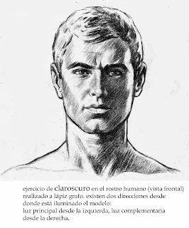 dibujo bachillerato nocturno: el claroscuro en el rostro humano ... dibujo bachillerato nocturno: el claroscuro en el rostro humano ...