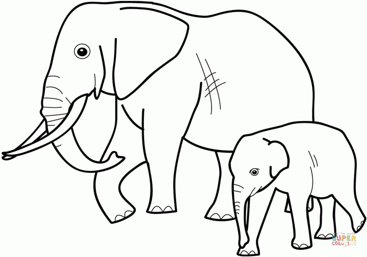 Dibujo de Bebé Elefante con su Mamá, Dibujo para colorear | Dibujos para  colorear imprimir gratis