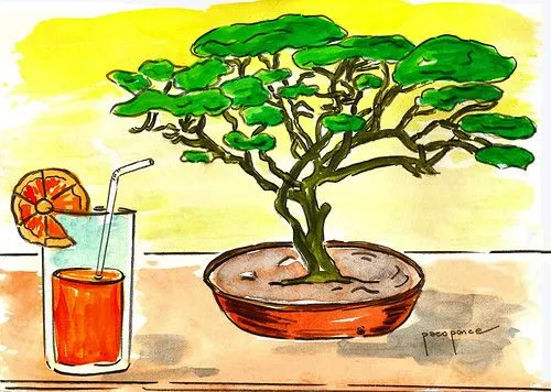 Dibujo de un bonsái - a photo on Flickriver
