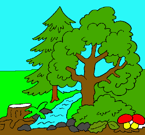Dibujo de Bosque pintado por Bonito en Dibujos.net el día 16-10-11 ... Dibujo de Bosque pintado por Bonito en Dibujos.net el día 16-10-11 ...