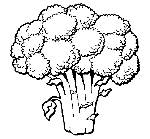 Dibujo de Brócoli 1 para Colorear - Dibujos.net