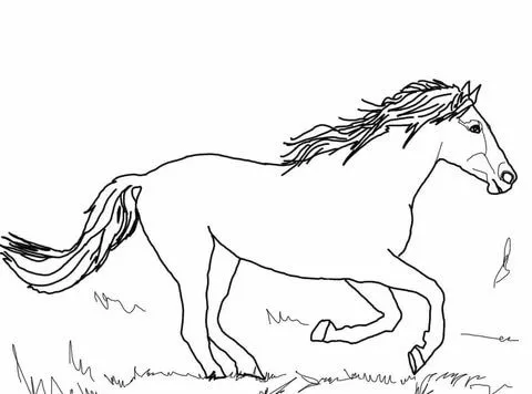 Dibujo de Caballo Mustang Corriendo para colorear | Dibujos para ...