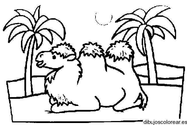 Dibujo de un camello y palmeras | Dibujos para Colorear