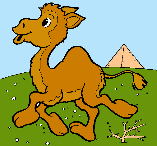 Dibujo de Camello pintado por Llama en Dibujos.net el día 18-07-11 ...