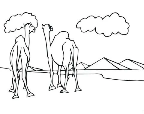 Dibujo de Dos Camellos mirando las pirámides para colorear ...