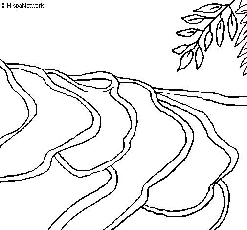 Dibujo de Campos de arroz para Colorear - Dibujos.net