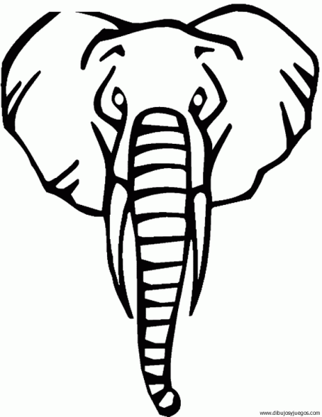 Cara de elefante dibujo - Imagui