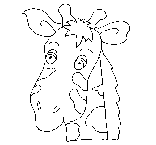Dibujo de Cara de jirafa para Colorear - Dibujos.net