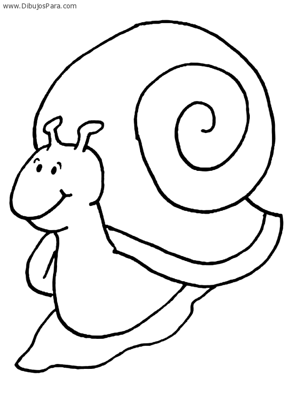 Dibujo de Caracol alegre | Dibujos de Caracoles para Pintar | Dibujos ... Dibujo de Caracol alegre | Dibujos de Caracoles para Pintar | Dibujos ...