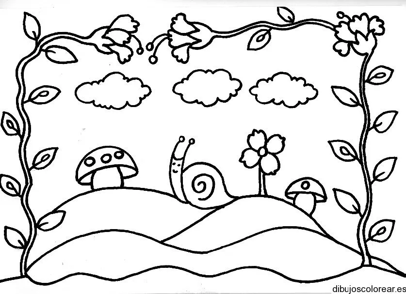 Dibujo de un caracol debajo de enredadera | Dibujos para Colorear Dibujo de un caracol debajo de enredadera | Dibujos para Colorear