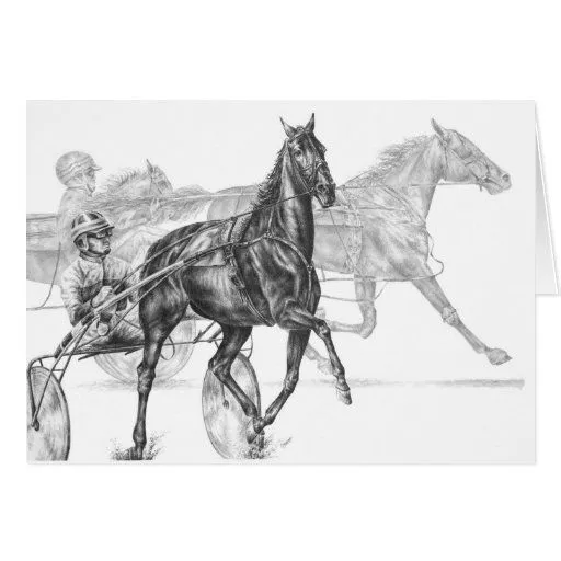 Dibujo de la carrera de caballos del arnés por el tarjeta de ...