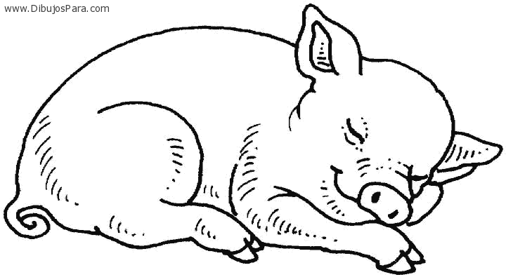 Dibujo de Cerdo durmiendo | Dibujos de Cerdos para Pintar ...