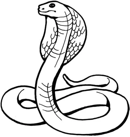 Dibujo de Una Cobra Real para colorear | Dibujos para colorear ...