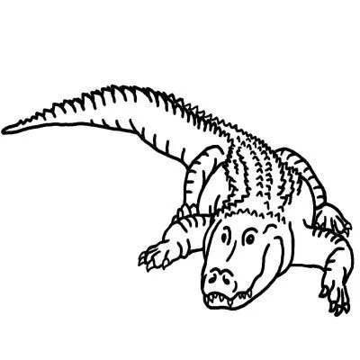 Dibujo de Cocodrilo del Nilo. Dibujo para colorear de Cocodrilo del ... Dibujo de Cocodrilo del Nilo. Dibujo para colorear de Cocodrilo del ...