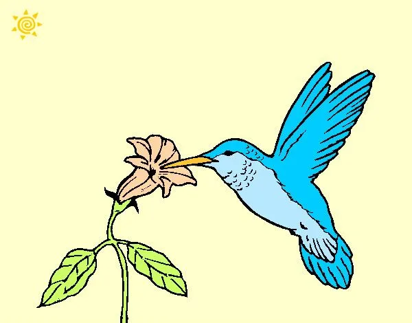 Dibujo de Colibrí y una flor pintado por Olimessi en Dibujos.net ...