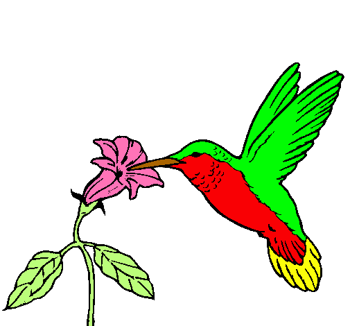Dibujo de Colibrí y una flor pintado por Picaflor en Dibujos.net ...