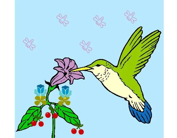 Dibujo de el colibri y su hermosa flor pintado por Vane366 en ...
