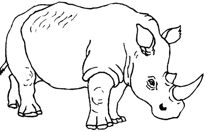Dibujo para colorear de animales en peligro de extincion - Imagui