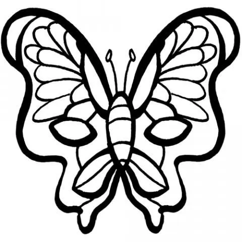 Como hacer un antifaz de mariposa - Imagui