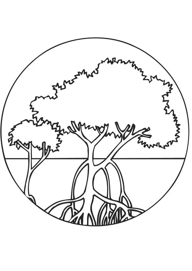 Dibujo para colorear Bosque de mangle - Dibujos Para Imprimir Gratis - Img  9469