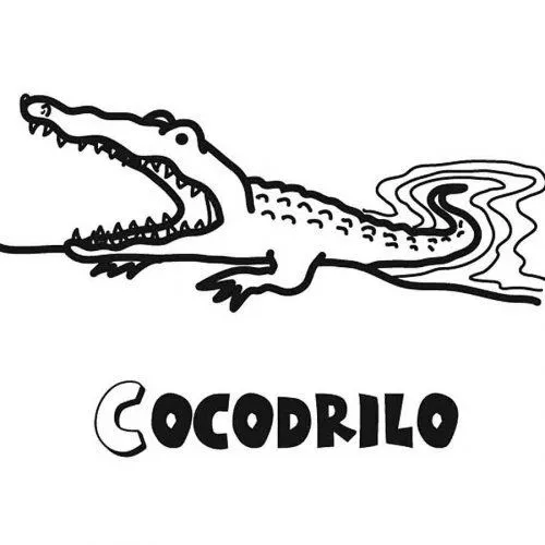 Dibujo para colorear de cocodrilo - Dibujos para colorear de ...