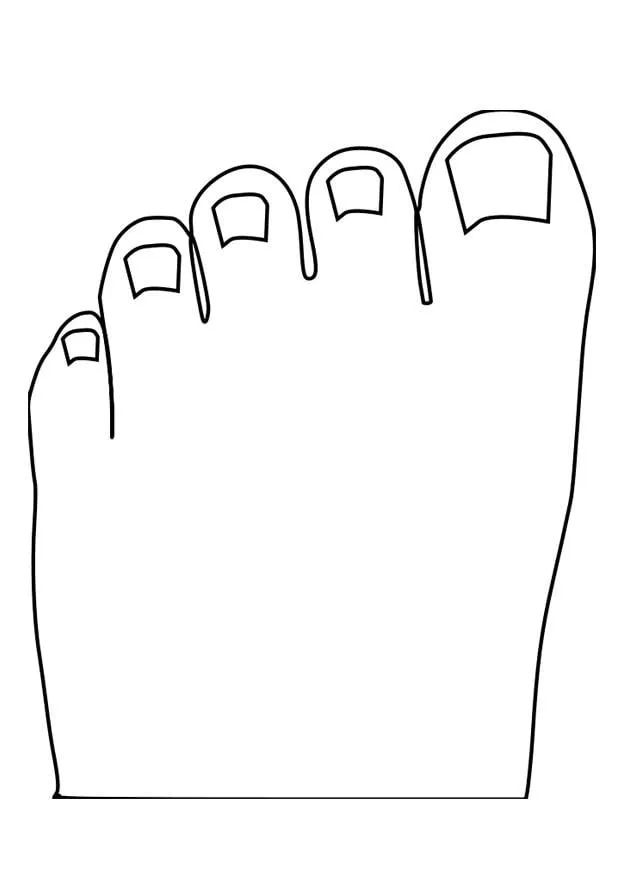 Dibujo para colorear dedos de los pies - Img 27470 Dibujo para colorear dedos de los pies - Img 27470