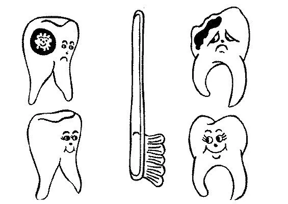 Dibujos de los dientes y sus partes para colorear - Imagui