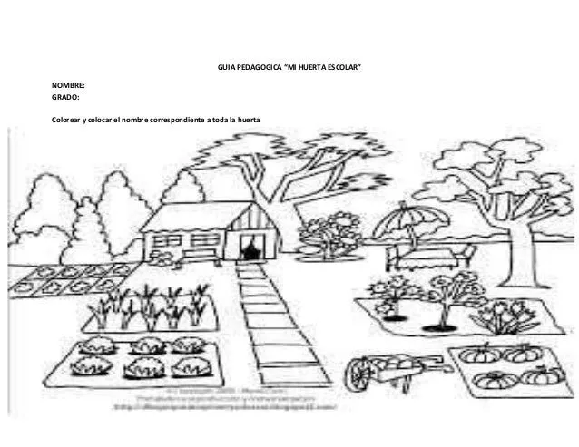 Dibujos para colorear de un huerto escolar - Imagui