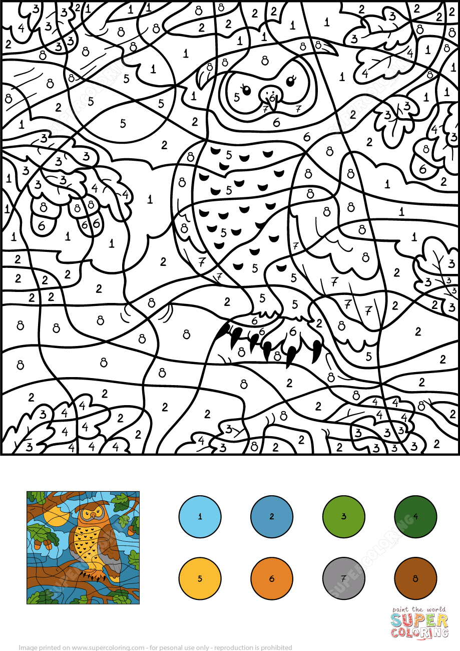 Dibujo de Colorear por Números un Búho para colorear | Dibujos para colorear  imprimir gratis