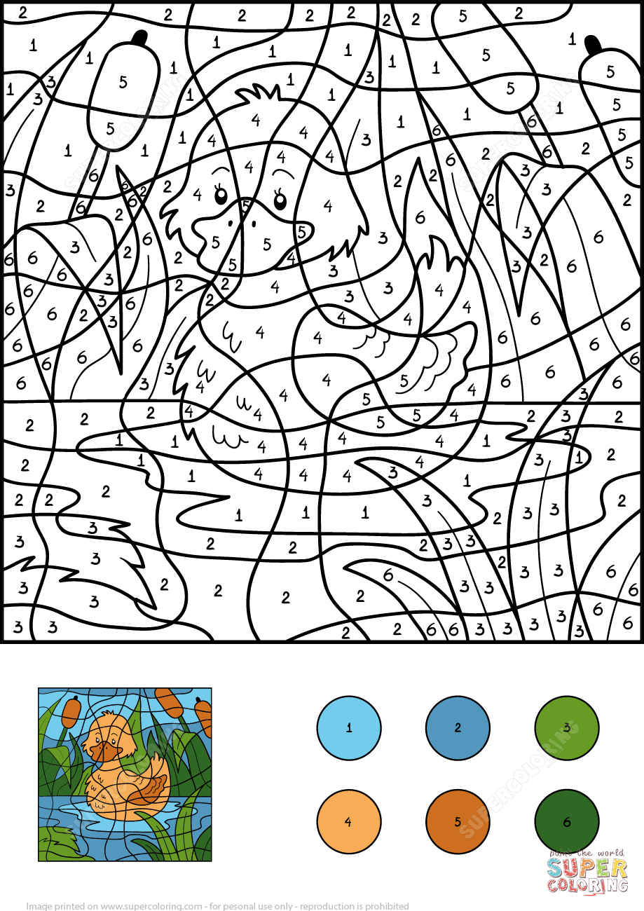 Dibujo de Colorear por Números un Pato para colorear | Dibujos para colorear  imprimir gratis
