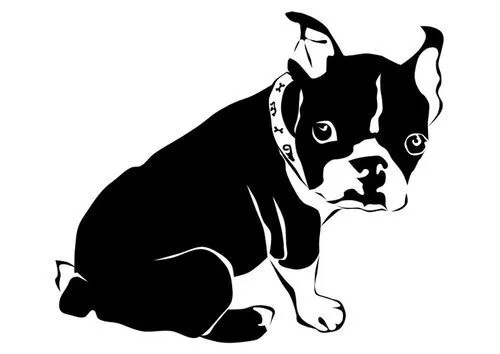 Dibujo para colorear perro - bulldog francés | imagenes lindas ...