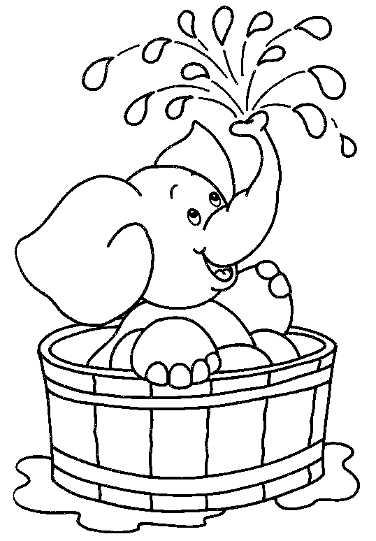 Elefante en la ducha
