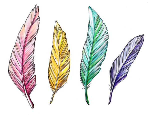 Dibujo coloridas vintage plumas aisladas en blanco — Foto stock ...