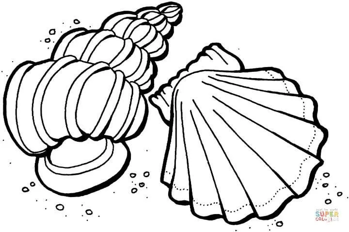 Dibujo de Conchas del Mar para colorear | Dibujos para colorear ...