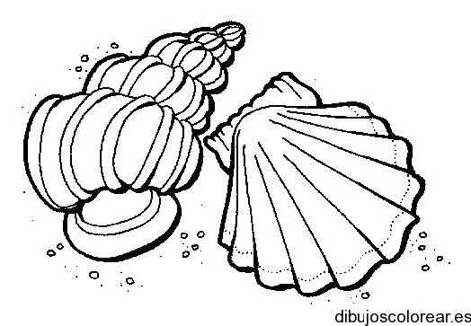 Conchas de mar | Dibujos para Colorear