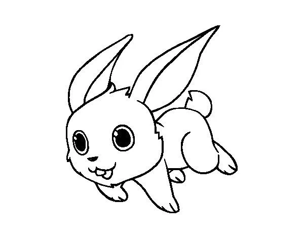 Dibujo de Conejo de campo para Colorear - Dibujos.net