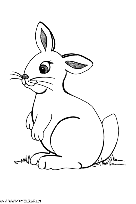 Dibujo conejo - Imagui