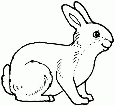 Dibujo de Conejo monísimo. Dibujo para colorear de Conejo monísimo ...