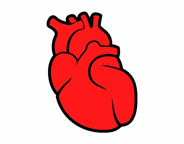 Dibujo de El corazón pintado por en Dibujos.net el día 25-05-15 a ...