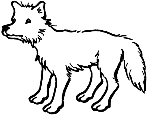 Dibujo de Coyote buscando comida para colorear | Dibujos para ...