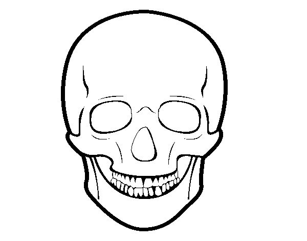 Dibujo de Cráneo humano para Colorear - Dibujos.net