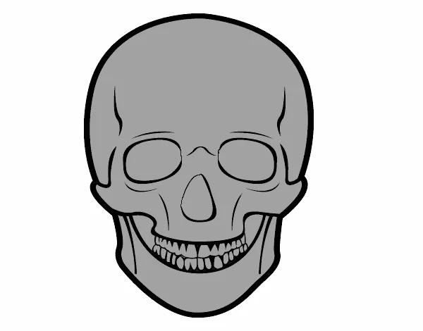 Dibujo de Cráneo humano pintado por en Dibujos.net el día 17-04-15 ...