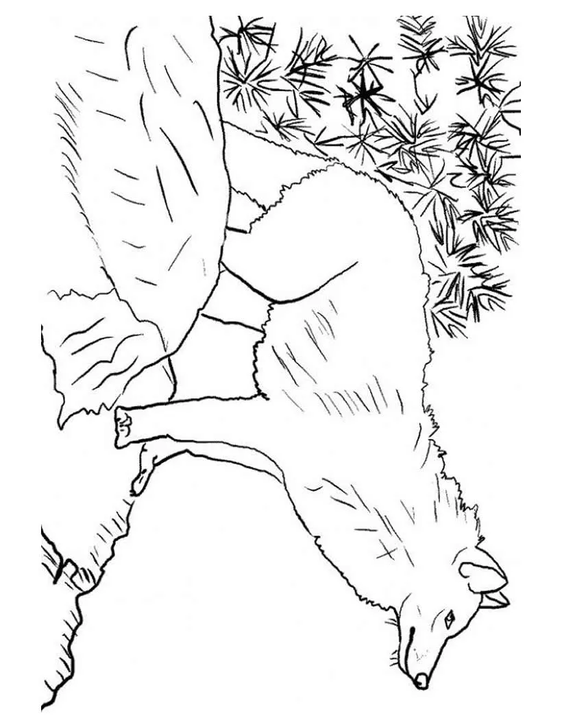 dibujo cria de lobo dibujo para pintar lobo gris dibujo para pintar ... dibujo cria de lobo dibujo para pintar lobo gris dibujo para pintar ...