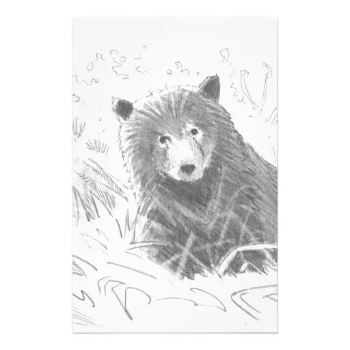 Dibujo de Cub de oso grizzly Papelería | Zazzle
