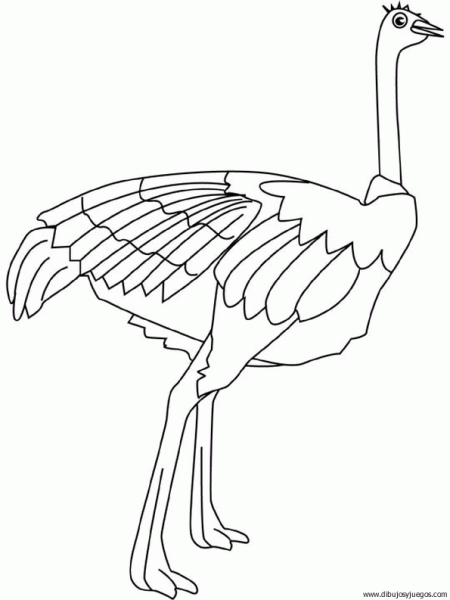 dibujo-de-avestruz-003 | Dibujos y juegos, para pintar y colorear