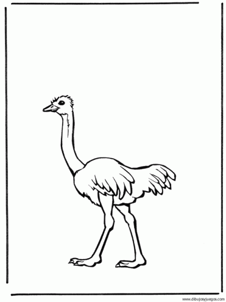 dibujo-de-avestruz-006 | Dibujos y juegos, para pintar y colorear