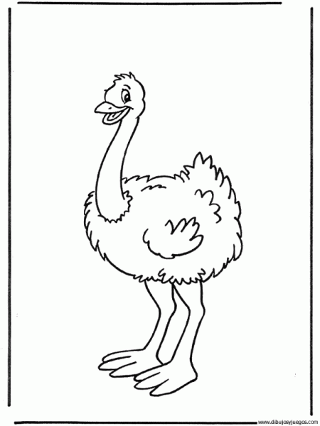 dibujo-de-avestruz-009 | Dibujos y juegos, para pintar y colorear dibujo-de-avestruz-009 | Dibujos y juegos, para pintar y colorear