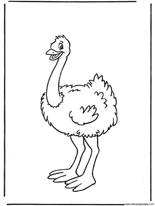 dibujo-de-avestruz-009 | Dibujos y juegos, para pintar y colorear