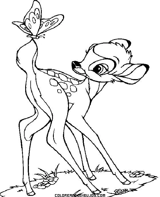 Dibujo-de-Bambi-y-mariposa- ...