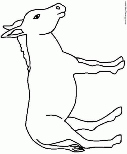 dibujo-de-burro-07 | Dibujos y juegos, para pintar y colorear dibujo-de-burro-07 | Dibujos y juegos, para pintar y colorear